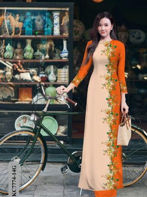 1608004932 901 vai ao dai dep (2)